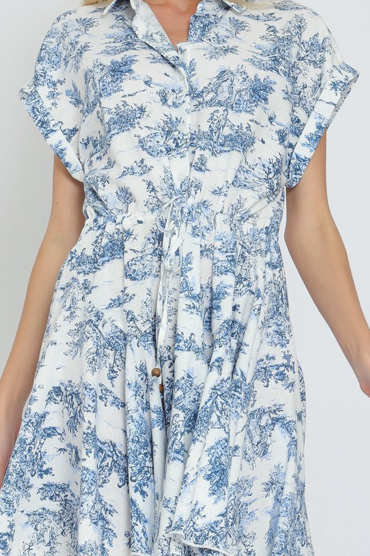 Blue Toile Dress