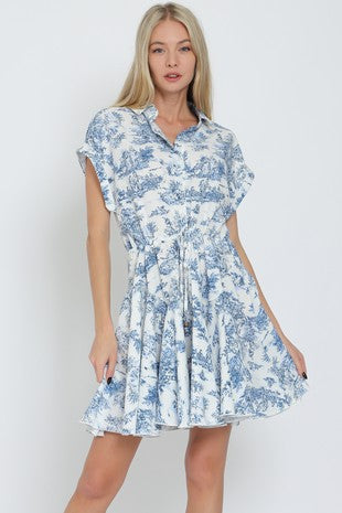 Blue Toile Dress