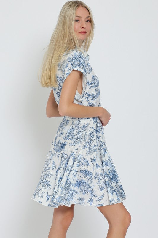 Blue Toile Dress