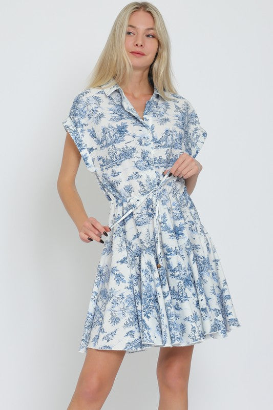 Blue Toile Dress