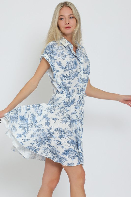 Blue Toile Dress