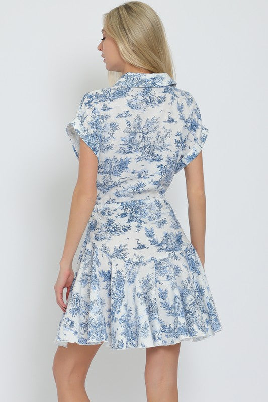 Blue Toile Dress