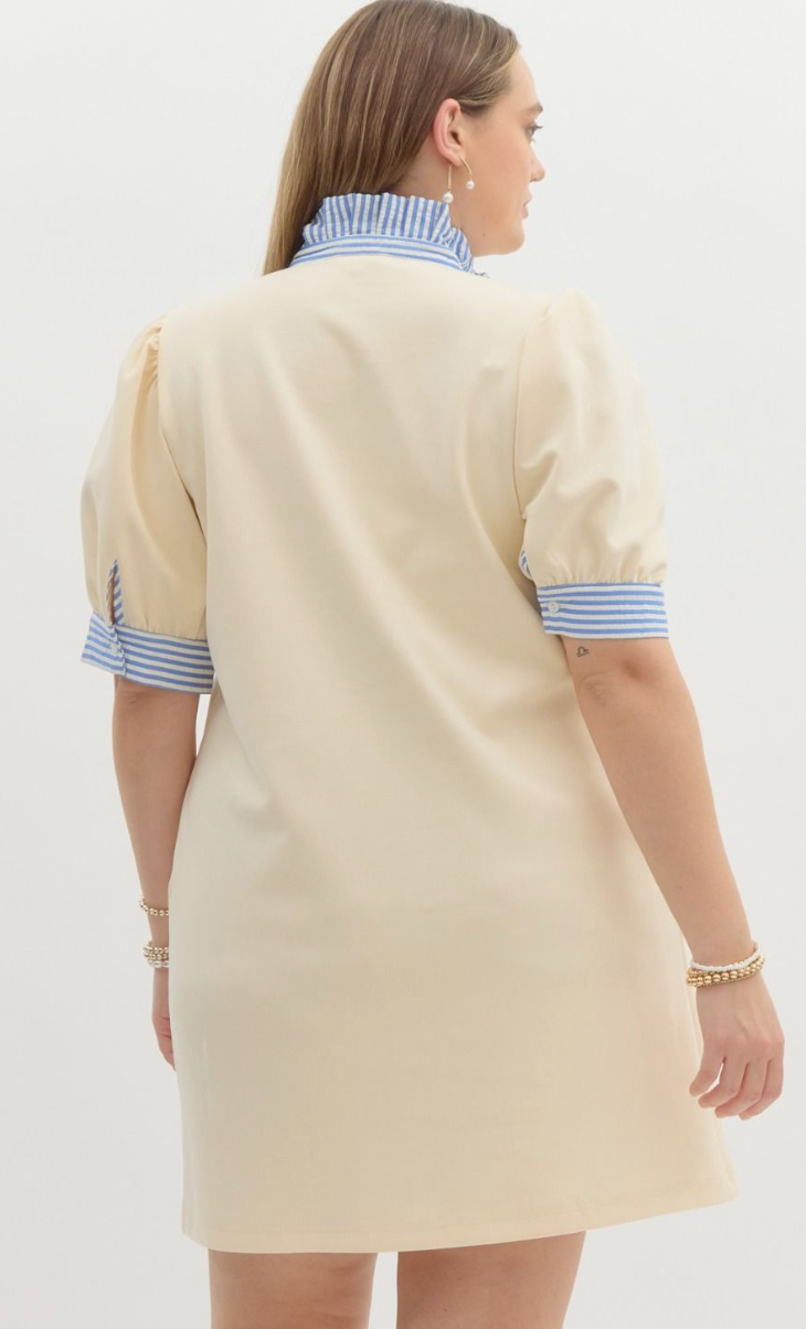 Cream & Striped Collar