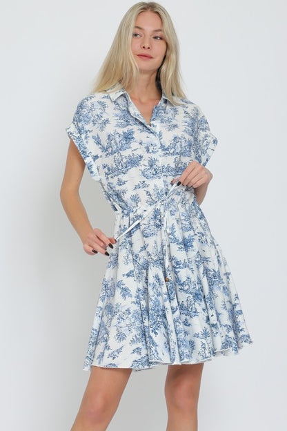 Blue Toile Dress