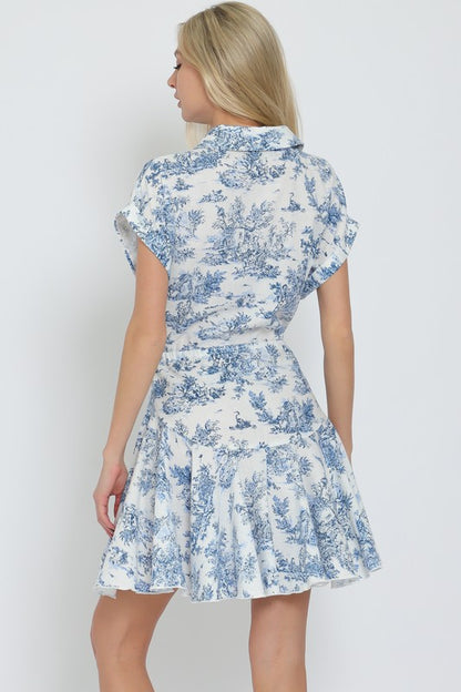 Blue Toile Dress